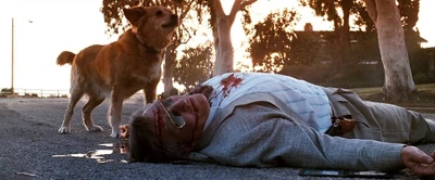 601px-LBSS&W66snub-1