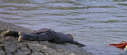 Joseph Cotten dead in Hellbenders