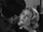 Dina Merrill