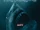 47 Meters Down: Uncaged (2019)