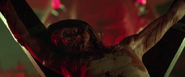 Meg Foster in 31