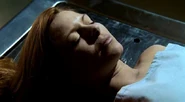 Kari Wuhrer in CSI: Miami: If Looks Could Kill