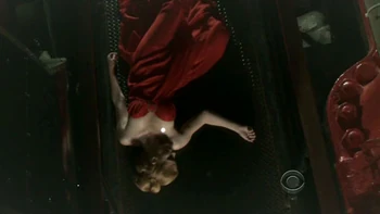 Erin Chambers in Cold Case: The Crossing