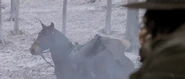 Charlie Hunnam's death in Cold Mountain