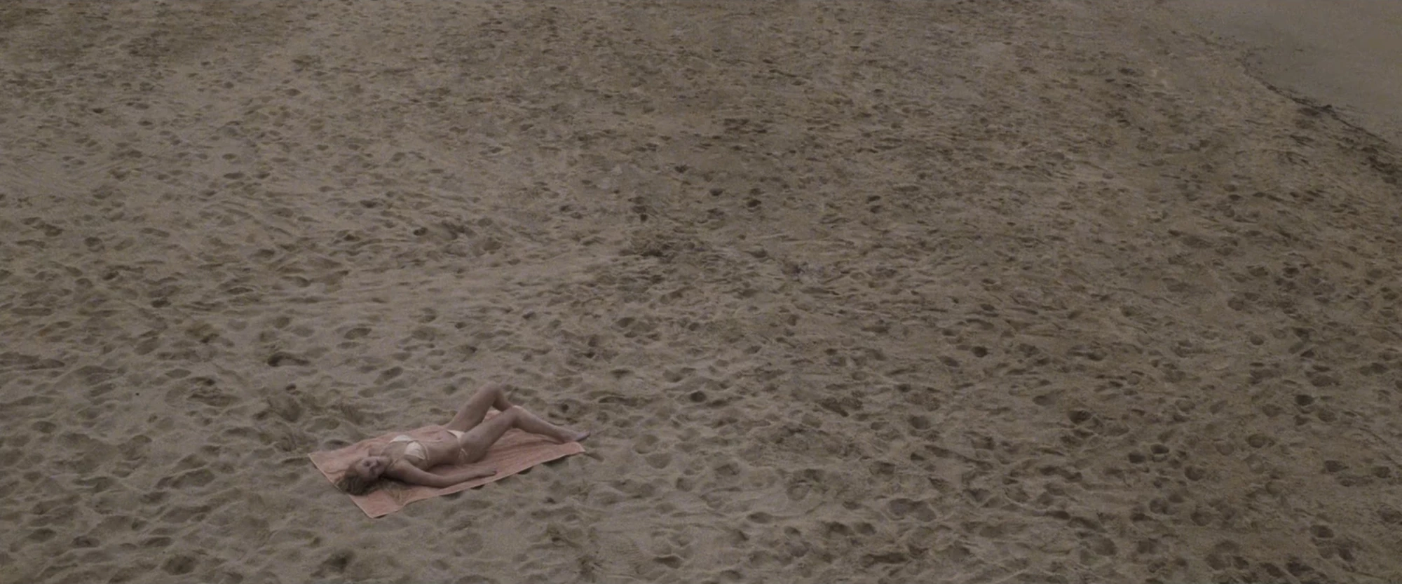 Amber Heard Cinemorgue Wiki Fandom