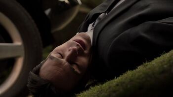 TJRamini-AgentsOfSHIELD-ThrownOutTheWindow