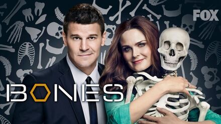 Bones (Série), Sinopse, Trailers e Curiosidades - Cinema10