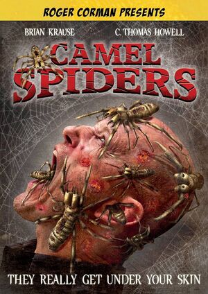 Camel Spiders