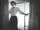 Jorja Curtright