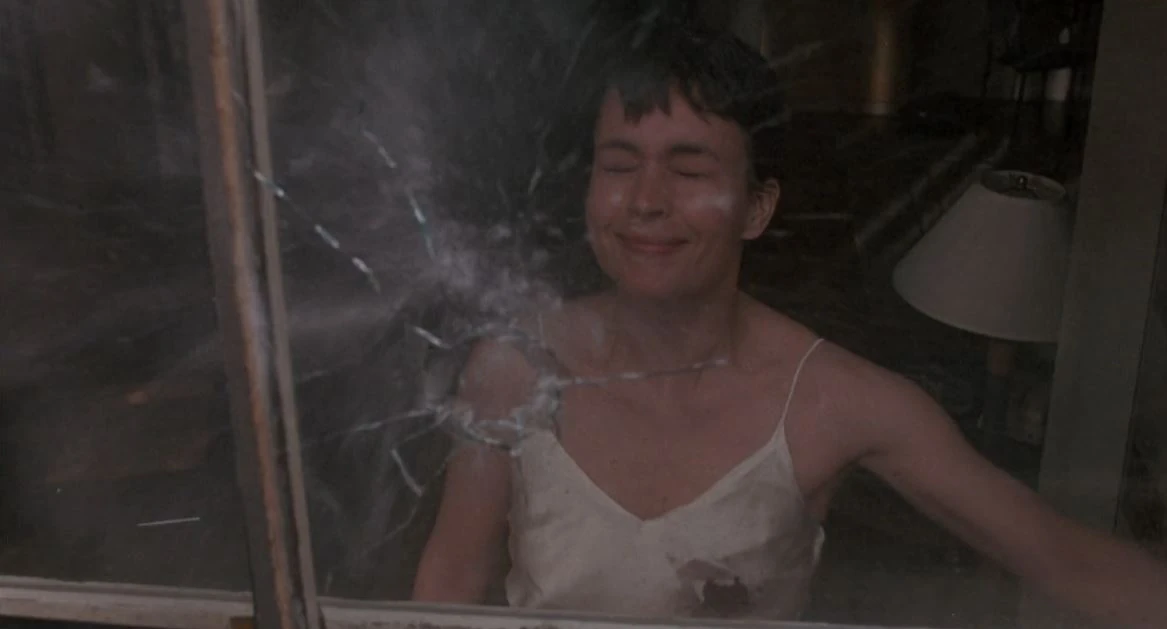 Diane Venora Wiki Fandom