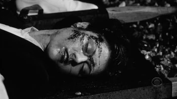 Michelle Harrison in Cold Case: The Hen House