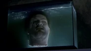 Head in water.png (1.06 MB) Julio Cesar Cedillo