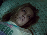 Category Death Scenes By Poison Cinemorgue Wiki Fandom Hemlock is a poisonous plant that can kill you. by poison cinemorgue wiki fandom