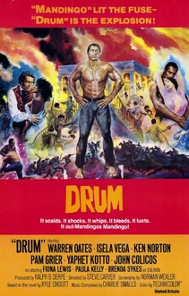 Drum film poster 