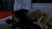 Hapsburg's death.png (320 KB) Robert Goulet