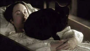 Elyse Levesque in Masters of Horror: The Black Cat