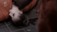 Lauren Socha in Misfits: Episode 1.1