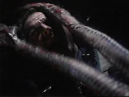 Bernardbehrens.jpg (6 KB) Bernard Behrens