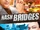 Nash Bridges (1996 series)
