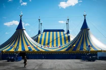 Wouter II de gira con Kurios, 2014.