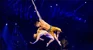 ¡El clásico del Cirque regresa!
