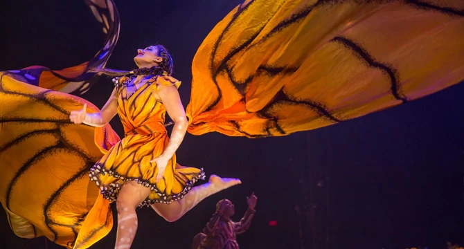 Imagina un campo de flores.