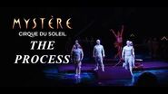 The Process Teeterboard Update Mystère by Cirque du Soleil