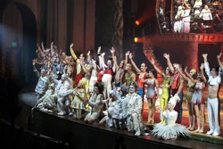 El elenco de Zarkana.