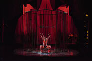 Zumanity2men