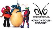 Get up close and personal with BUGS! OVO On Tour Backstage Ep 1 Cirque du Soleil