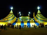 Vivia de gira con TOTEM, 2013.