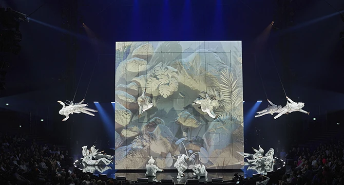 Conectados a través del eco.