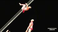Zarkana by Cirque du Soleil Banquine