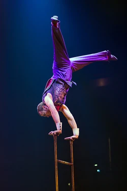 Corteo Cirque Du Soleil Wiki Fandom