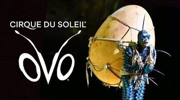 Meet the Colorful & Playful Insects of OVO OFFICIAL Cirque du Soleil Trailer Tune in Thursdays!