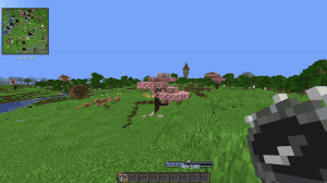 Explorer's compass gif.gif