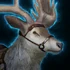 Wild Elk
