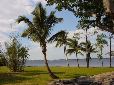 View of the Caloosahatchee River taken from the grounds of the Edison and Ford Winter Estates, Fort Myers, Florida January 27, 2006.