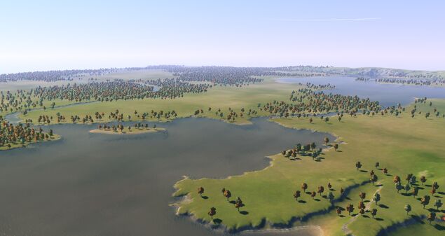The Wetlands