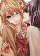 Volume 5 cover colors.