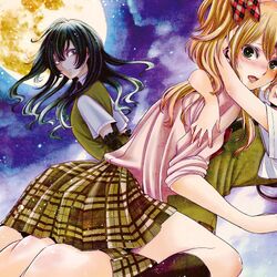 Citrus Wiki | Fandom