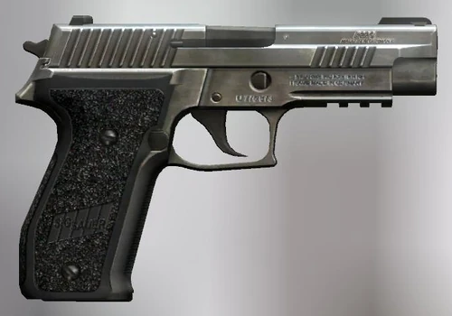 Sig P226 Silver | City Life RPG Wiki | Fandom