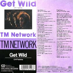 Get Wild | City Hunter Wiki | Fandom