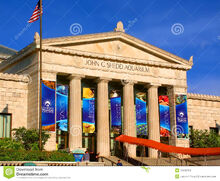 Acuario-chicago-illinois-de-shedd-27328753