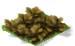 Brussel Sprouts Withered