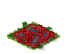 Cranberries Fruit