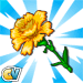 Yellow Flower-viral