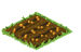 Baby Carrots Seed