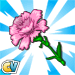 Pink Flower-viral