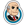 Get Rich Rent-icon